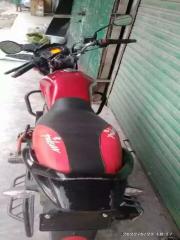Zaara 110